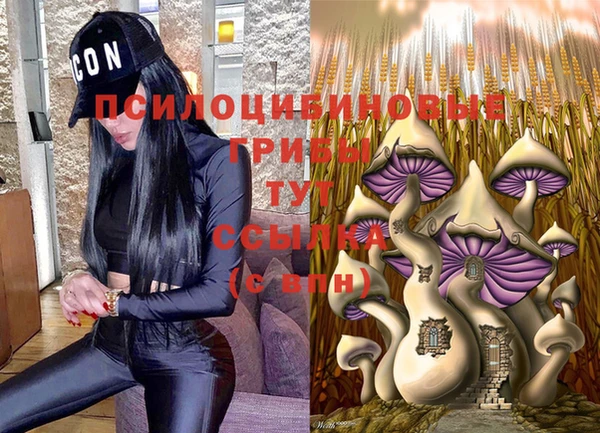 тгк Волоколамск